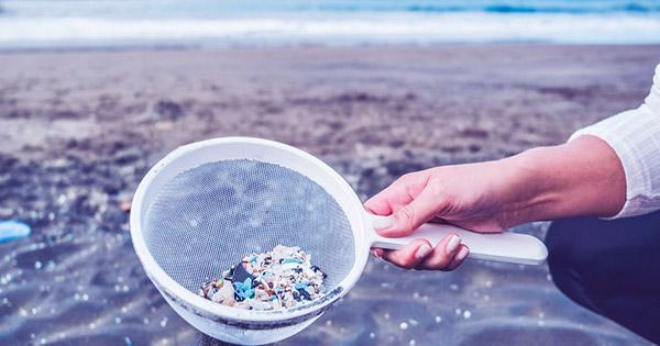 Oceanic Microplastics May Be Returning To Land via Sea Breeze