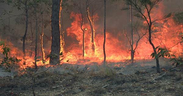 Gateway to the Underworld Continues To Creep Open as Heatwaves and Wildfires Hit Siberia