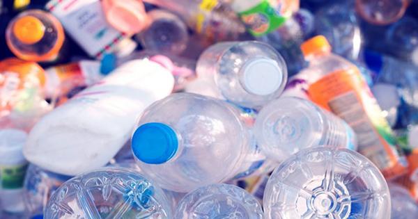 Mutant Composting Bacteria Could Be the Key To 100 Percent Recyclable Plastics