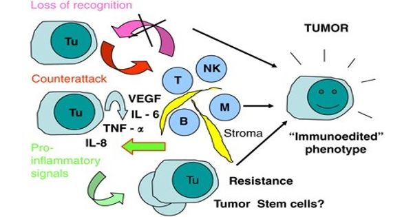 Researchers identify a novel mechanism by which tumors progress