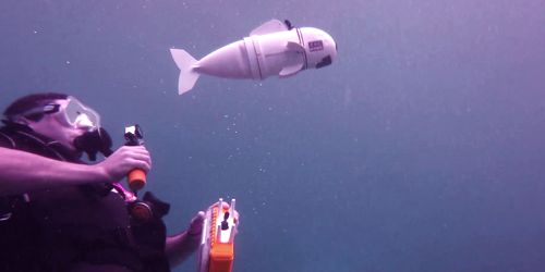 Scientists develop Underwater Robotic swarm that swims like a school of fish 1