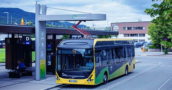 The Electric Bus Company Inadvertently Names Bus After NSFW Slang Word