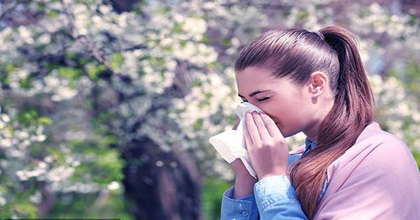 Climate-Change-Is-Making-Allergy-Season-Last-Longer