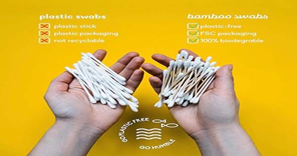 Cotton Swabs Are Hurting The Ocean. Use These Eco-Swabs Instead