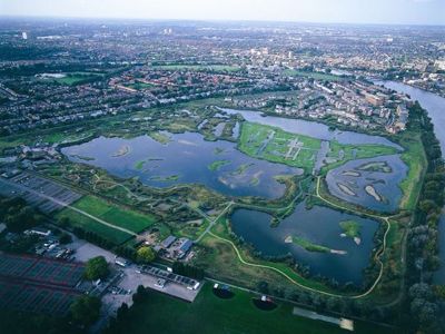 Importance of Wetlands for Healthy Wellbeing 1