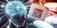 Scientists are physically integrating human brain stem cells into AI microchips