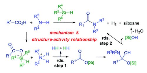 Scientists introduced new type of reaction of amide bonds under mild conditions 1