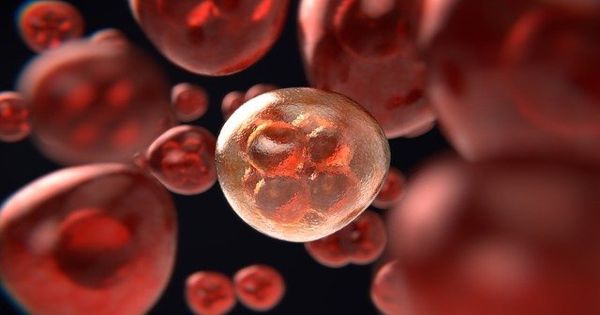 An early step in developing acute myeloid leukemia drug therapy for patients