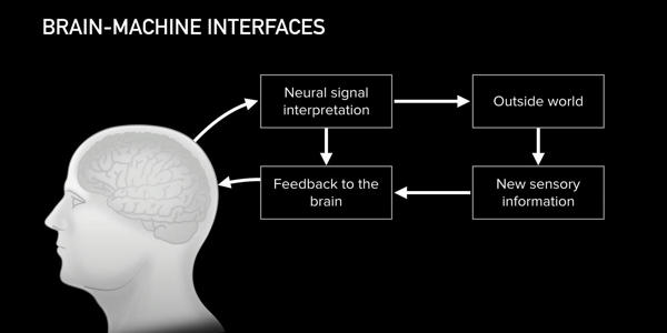 Brain-on-a-chip-mimics-the-biology-of-the-brain-and-need-slight-training-1