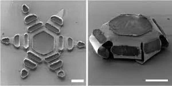 Physicists-developed-a-method-for-tiny-artificial-machines-ability-to-learn-1