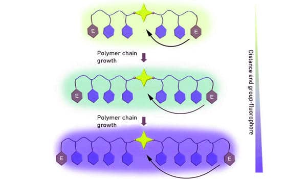 Researchers-developed-fluorescent-polymers-whose-color-can-be-easily-tuned-1