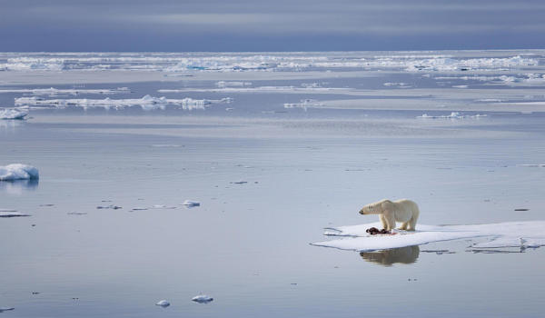 Antarctic-Ice-Sheet-Melting-causes-dramatic-Sea-level-Rise-that-keeps-Global-Warming-1