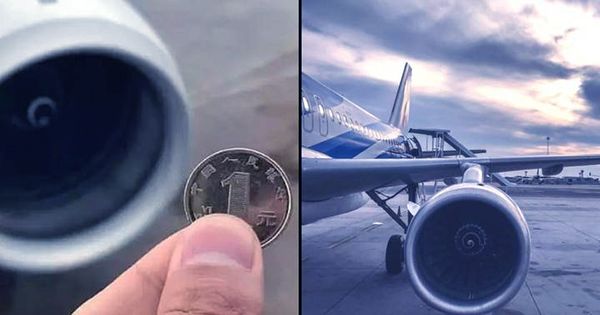 Man Throws Coins Into Jet Engine For Good Luck, Grounds Entire Flight