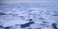 Satellite data shows Rapid Demise of Sea Ice in the Arctic Ocean