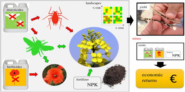 Scientists-observe-Pollinators-in-terms-of-Economic-and-Ecological-perception-1