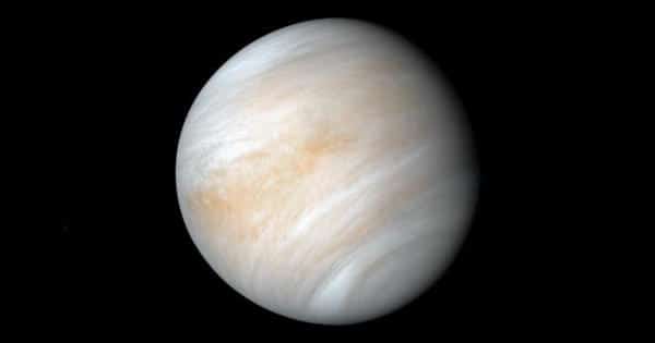 Scientists Observe our Closest Neighbor Venus