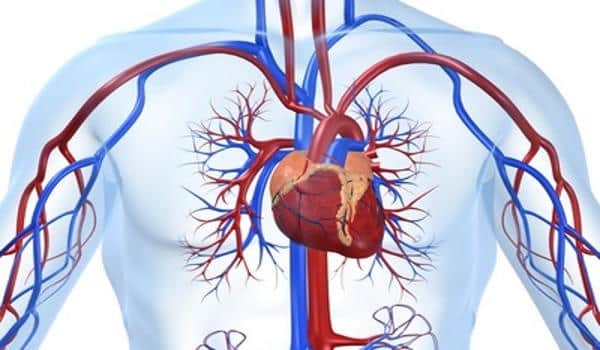 Trial-set-out-shows-AI-guided-Diagnosis-of-Heart-Disease-in-Routine-Practice-1