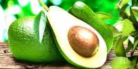 A Compound in Avocados may tender a Way to Better Leukemia Treatment