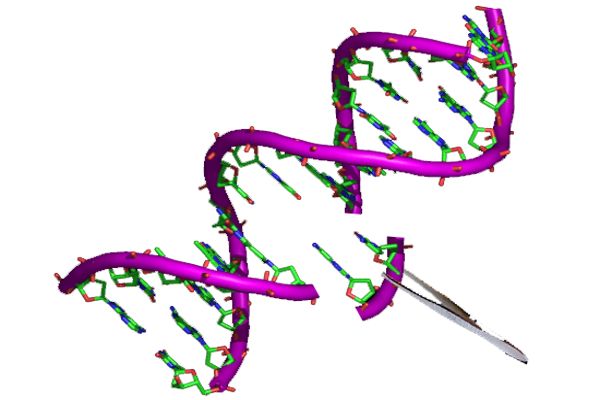 Altering-a-mosquitos-gut-genes-can-stop-spreading-malaria-1