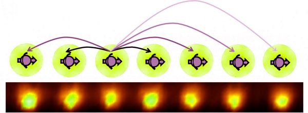 Physicist-says-that-Digital-Information-should-Considered-a-New-Form-of-Matter-1