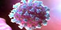 Scientists Reveal how Retroviruses Protect its Genetic Information and become Infectious