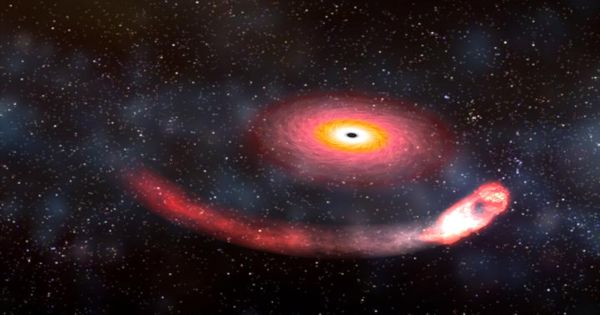 Black Holes Swallowing Neutron Stars Whole seen for the First Time