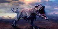 Where Tyrannosaurs Ruled, Even Mid-sized Carnivores Vanished