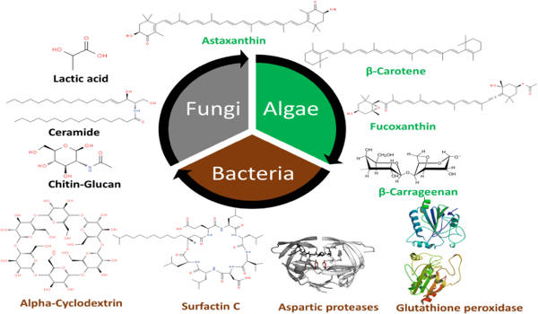 A-New-Strategy-for-Microorganisms-Produces-Natural-Products-1