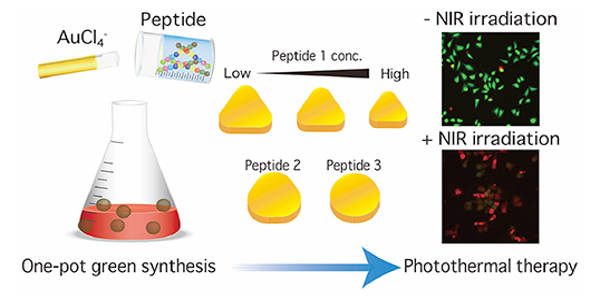 An-Eco-friendly-Protocol-for-Synthesizing-Gold-Nanoparticles-for-Cancer-Therapy-1