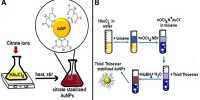 An Eco-friendly Protocol for Synthesizing Gold Nanoparticles for Cancer Therapy