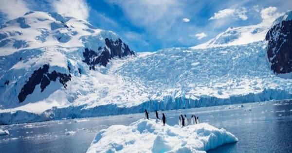 It Now Snows Microplastics in Antarctica