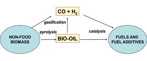 Catalyzing-Chemical-Reactions-Conversion-of-Biomass-into-Biofuel-1