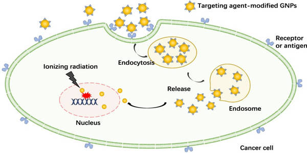 Injecting-Gold-Nanoparticles-into-Tumors-may-Improve-Cancer-Radiation-Treatment-1