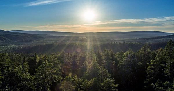 Lapland Bakes in 33°C Heatwave, Hottest Temperature in a Century