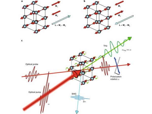 Magnetic-Phase-Transition-with-Transforming-a-Layered-Ferromagnet-for-Future-Electronics-1