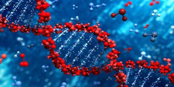 Methane-metabolizing-Archaea-contain-Giant-Extrachromosomal-Elements-1