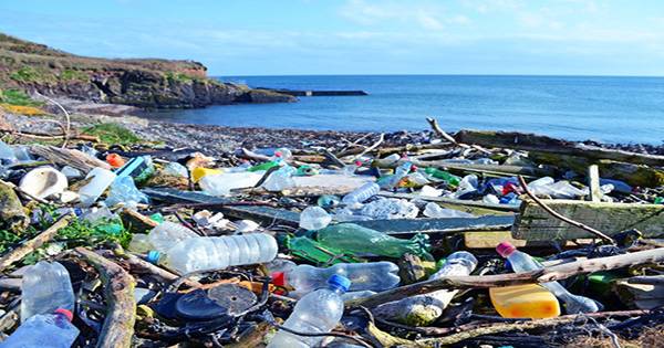 New Zealand will Ban Most Single-Use Plastics by 2025