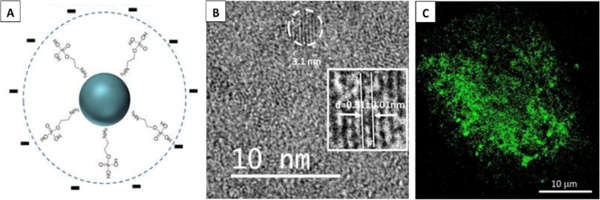 Researchers-Succeeded-in-Depositing-Nitrogen-containing-Organic-Molecules-1