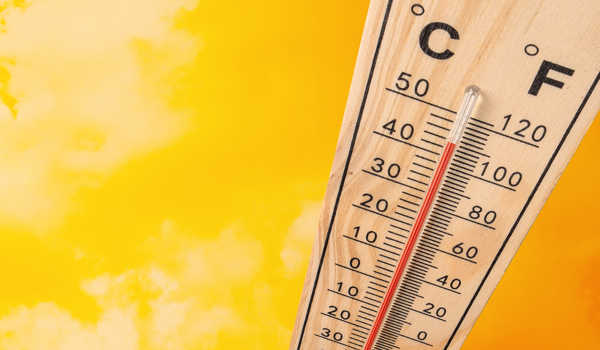 Response-of-the-Proteome-to-a-Persistent-Temperature-Rise-was-Unexpected-1