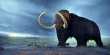 17,000 Years Ago, a Wooly Mammoth Trekked Far Enough to Circle Earth Twice