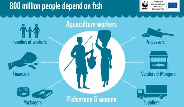 Food-Security-Threatened-by-Climate-Change-in-Many-Fish-dependent-Countries-1