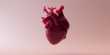 After a Heart Attack, a Gene Hack may be able to Heal the Heart