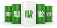 Biofuels Provide an Efficient Approach to Reduce the Emissions of Shipping