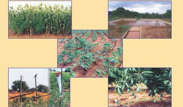 Economic-Technique-for-Soil-Health-Measurement-in-the-Dryland-Agriculture-1