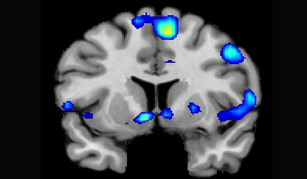 Humans-Spiritualitys-Brain-Circuitry-is-Being-Mapped-1