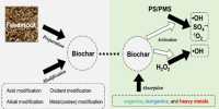 New Biochar Composites Contribute to Wastewater Treatment