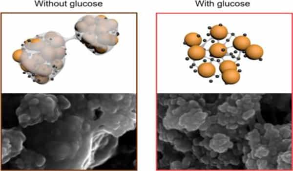 Researchers-created-a-Longer-lasting-and-Sustainable-Lithium-Sulfur-Batteries-1