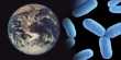 Scientist Issues Warnings Regarding Alien Viruses from Other Planets