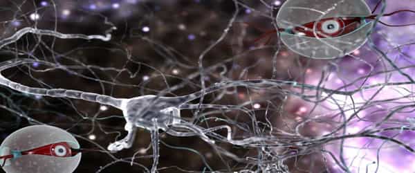 Scientists-developed-an-Injectable-Swarm-of-Nanosensors-that-Read-the-Brain-1
