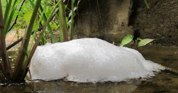 Use Frog Foam as a Delivery Mechanism Antiseptic